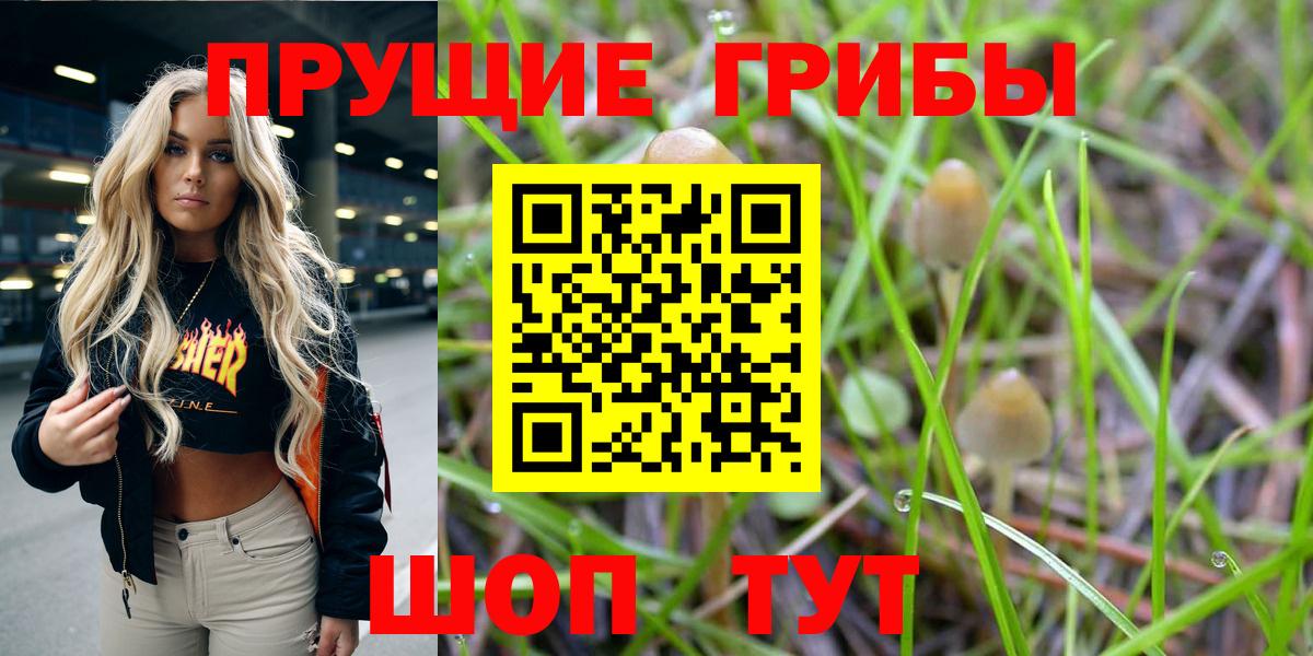 Галлюциногенные грибы MAGIC MUSHROOMS  Вход с VPN  Фурманов  Псилоцибиновые грибы мухоморы 